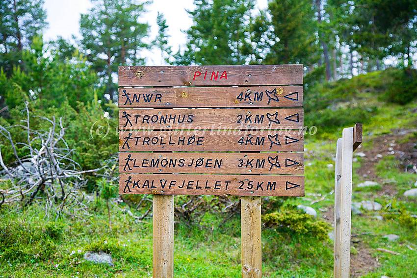 Skilt ved Pina seter like ovenfor Randsverk camping. Vi skulle til Trollhøe via Kalvefjellet.