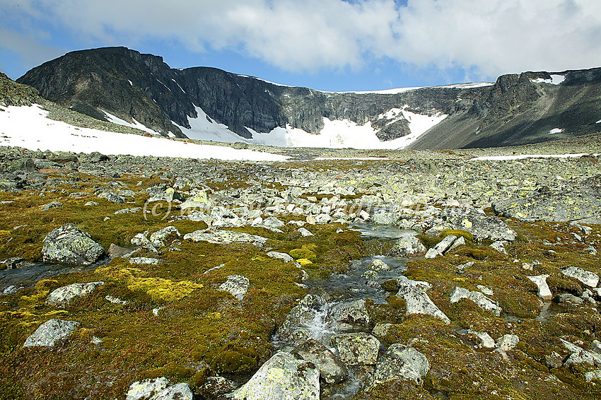 Like nedenfor botnen innunder Søre Trollsteinhøe (2161 moh.) med toppen midt i syningom.