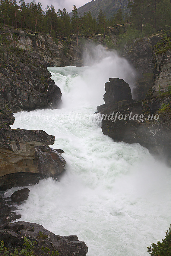 Ved stor vannføring er fossen (bildet) et kort stykke oppstrøms for Ridderspranget i Sjodalen et flott skue.