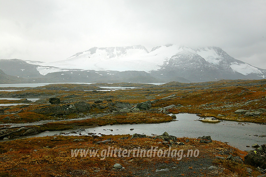 En regntung høstdag på Sognefjellet med utsikt mot Fannaråken (til venstre) og Steindalsnosi (til høyre).