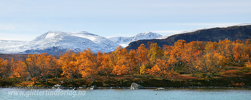 Høststemning like nedenfor Gjendeosen, med Sjoa i forgrunnen. I bakgrunnen ses Rasletinden og Munken med en frisk kappe av nysnø på.