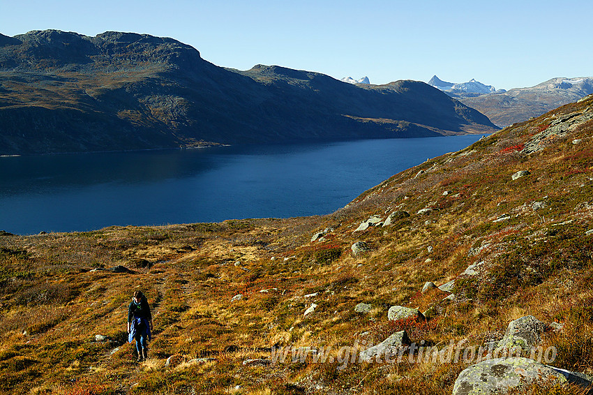 På vei opp fra Bygdin på en høsttur rundt Galdeberget. I bakgrunnen Bygdin og Hundeknappen (1547 moh). Langt i bakgrunnen ses bl.a. Falketind (2067 moh).