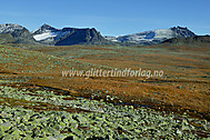 http://fjelletibilder.no/pictures/10/2006101501700012.jpg