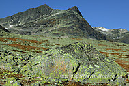 http://fjelletibilder.no/pictures/10/2006101501900012.jpg