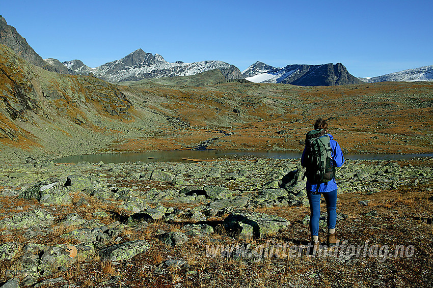 Fjellvandring øst for Galdeberget. I bakgrunnen er Langedalstinden (2206 moh) den dominerende toppen. Man ser også Kvitskardtinden (2193 moh) godt.