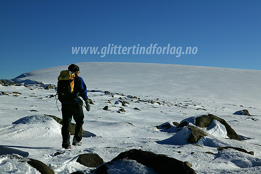 En førsteklasses dag i fjellet med Slettmarkhøes snøkuppel rett forut.