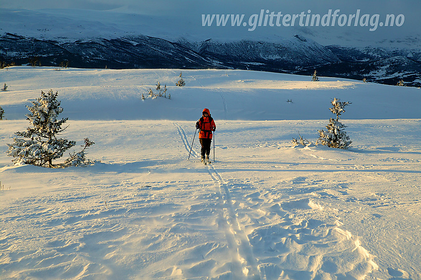 Nyttårsaften nesten på toppen av Javnberget (1097 moh), like ved Beitostølen i Øystre Slidre.