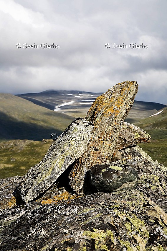 Kvitingskjølen from west. Jotunheimen. Norway.