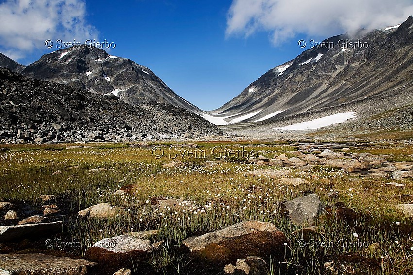 In Trollsteinkvelven valley towards Svartholsglupen pass, between Svartholshøe and Rundhøe (right). Jotunheimen National Park. Norway.