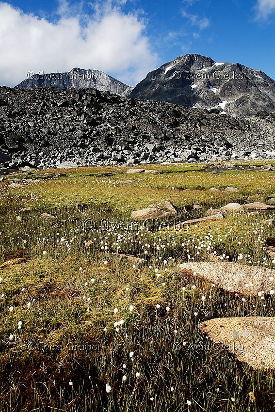 In Trollsteinkvelven valley. Loooking towards Grotbreahesten and Trollsteineggje (left). Jotunheimen National Park. Norway.