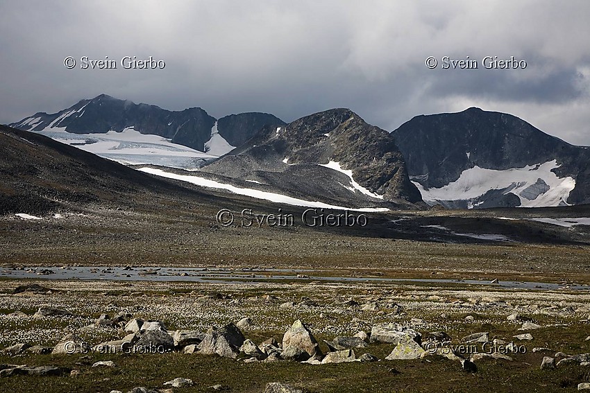 In Trollsteinkvelven valley. Loooking towards Trollstein-rundhøe, Grotbreahesten and Trollsteineggje  (right to left) and Grotbrean glacier. Jotunheimen National Park. Norway.