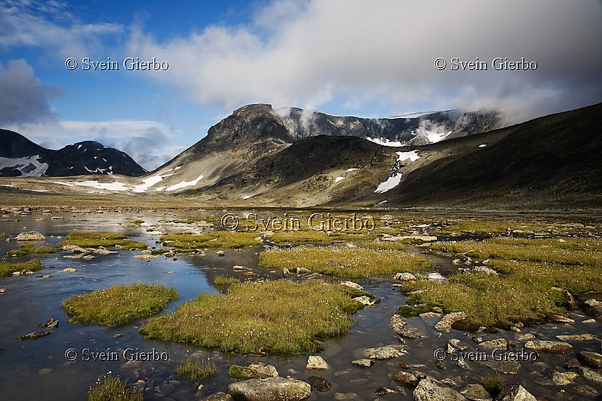 In Trollsteinkvelven valley with Søre Trollsteinhøe and Svartholshøe (left). Jotunheimen National Park. Norway.