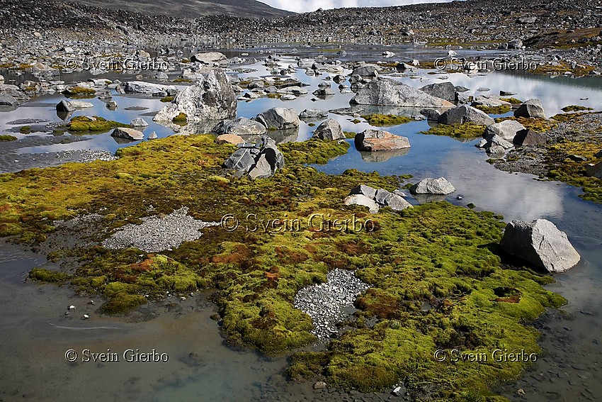 A meltwater stream in Trollsteinkvelven valley. Jotunheimen National Park. Norway