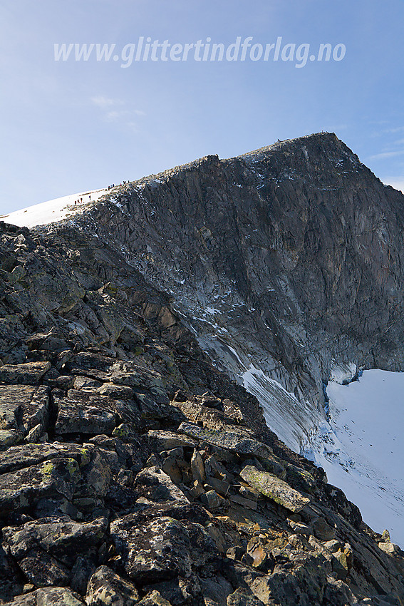 Til topps på Galdhøpiggen via fjellryggen som strekker seg ut mot Styggebrean på ruta fra Juvasshytta. 