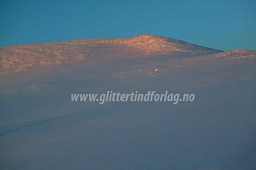 Moldulhøe (2044 moh) sett fra sørvest.