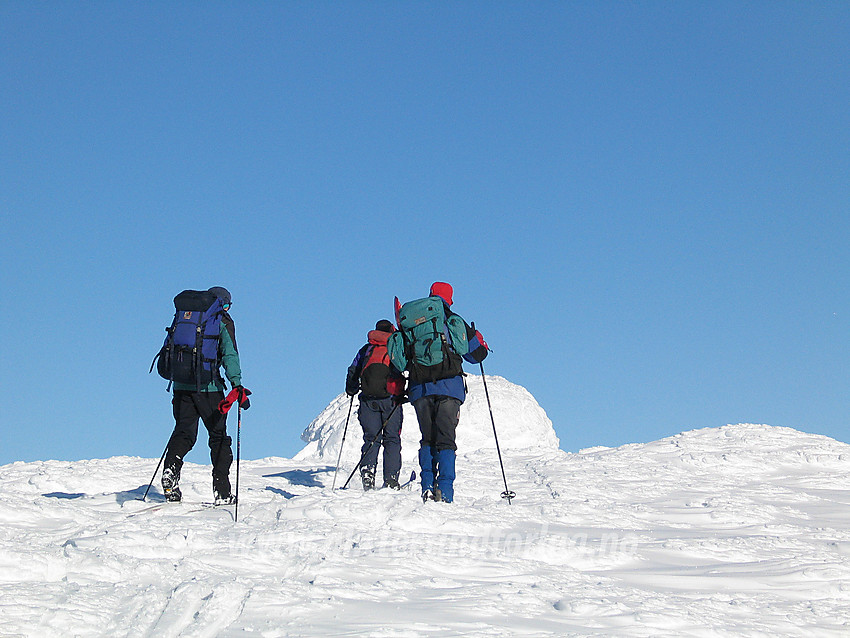 Skiløpere på vei det siste stykket til toppen på Storivilen (2068 moh).