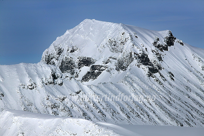 Galdhøpiggen (2469 moh) sett fra Bukkehøe (2314 moh).