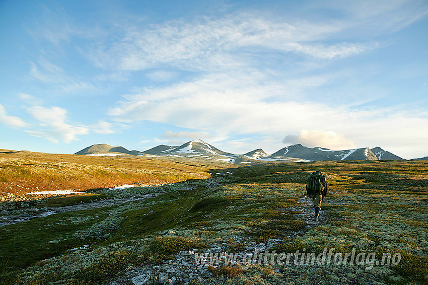 På tur innover mot Smiubelgin (langs Krokåtbekken). Vi skal til Storsmeden. Det er en tidlig midtsommersmorgen.