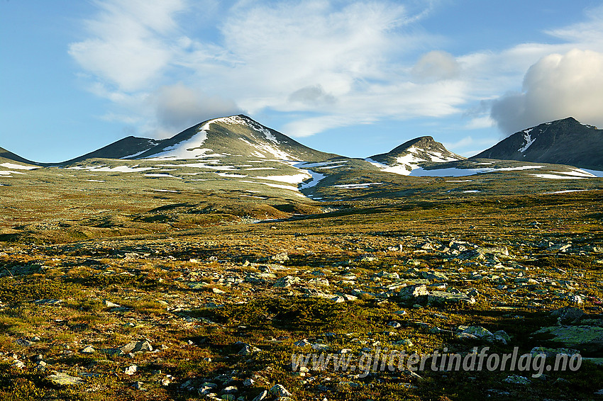 På flyene sør for Smiubelgin, her med Ljosåbelgen (1948 moh), Hoggbeitet (1805 moh) og Steet (1996 moh).