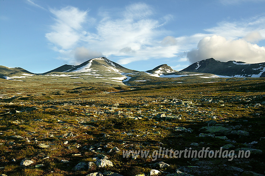 På flyene sør for Smiubelgin, her med Ljosåbelgen (1948 moh), Hoggbeitet (1805 moh) og Steet (1996 moh).