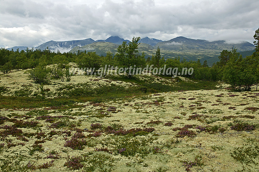 Fra stien fra Stadsbuøyen mot Breisjøseter med Rondane i bakgrunnen og Høgronden sentralt i skyene.