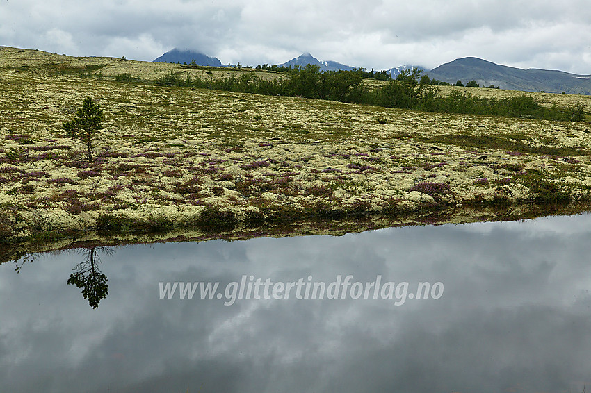 Fra stien fra Stadsbuøyen mot Breisjøseter med Rondane i bakgrunnen.