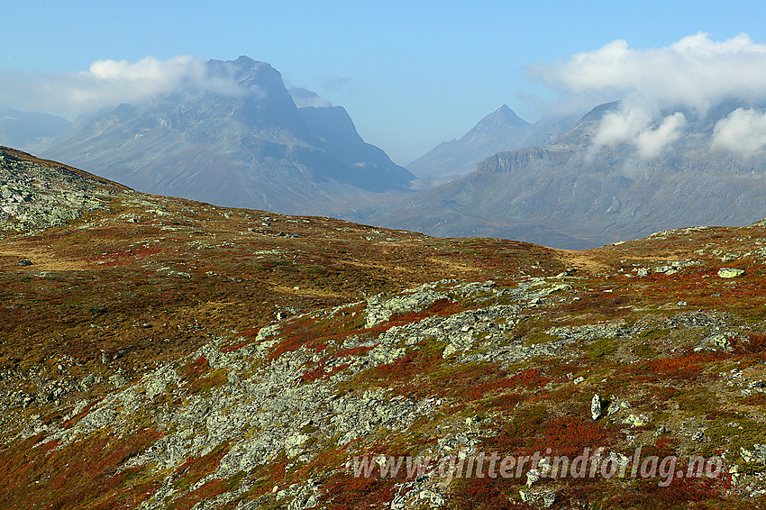 På ryggen mellom Olefjorden og Bygdin mot Torfinnstindane og Torfinnsdalen.