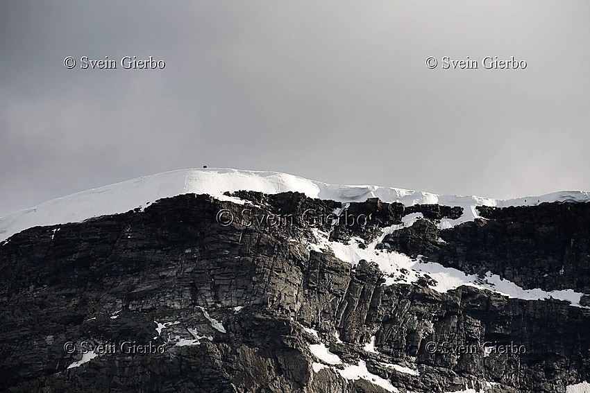 The north wall of Glittertind, Norways second highest mountain, as seen from Trollsteineggje. Jotunheimen National Park. Norway.