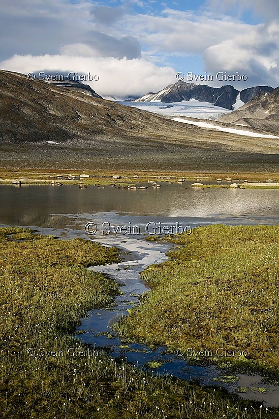 In Trollsteinkvelven valley. Loooking towards Trollstein-Rundhøe, Grotbreahesten and Trollsteineggje (right to left) and Grotbrean glacier. Glittertinden, Norways second highest mountain, is obscured by clouds. Jotunheimen National Park. Norway.