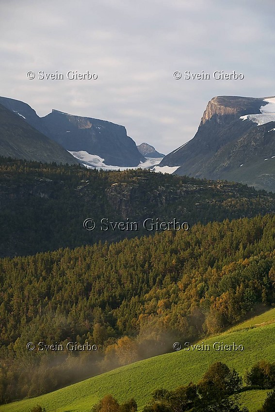 Bøverdalen towards Vesle Galdhøpiggen mountain and Storgrovbrean  glaciers. Oppland. Norway.