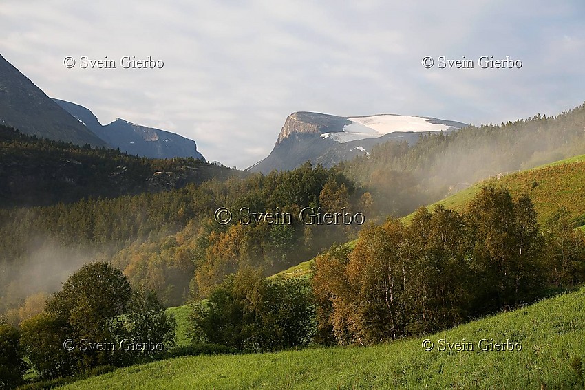 Bøverdalen towards Vesle Galdhøpiggen mountain and Storgrovbrean  glaciers. Oppland. Norway.