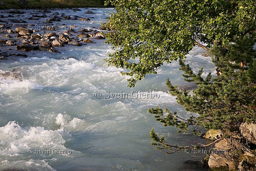 Leira river in Leirdalen valley. Oppland. Norway.