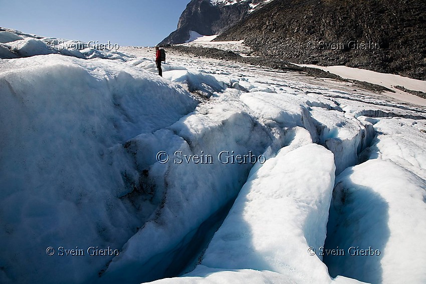 Hiker on Storjuvbrean glacier. Jotunheimen National Park. Norway.