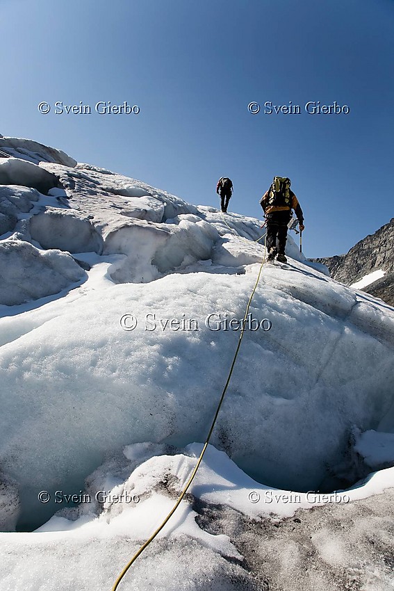 Hikers on Storjuvbrean glacier. Jotunheimen National Park. Norway.