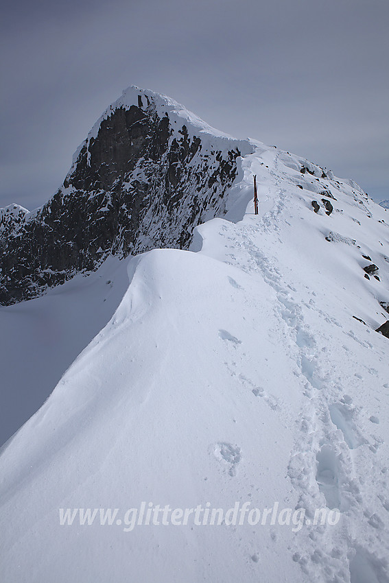 Vestryggen på Veslebjørn med toppen (2150 moh) i bakgrunnen.