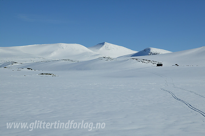 Ved Sottjørnin med Vestre Holåtinden (2039 moh) i bakgrunnen.