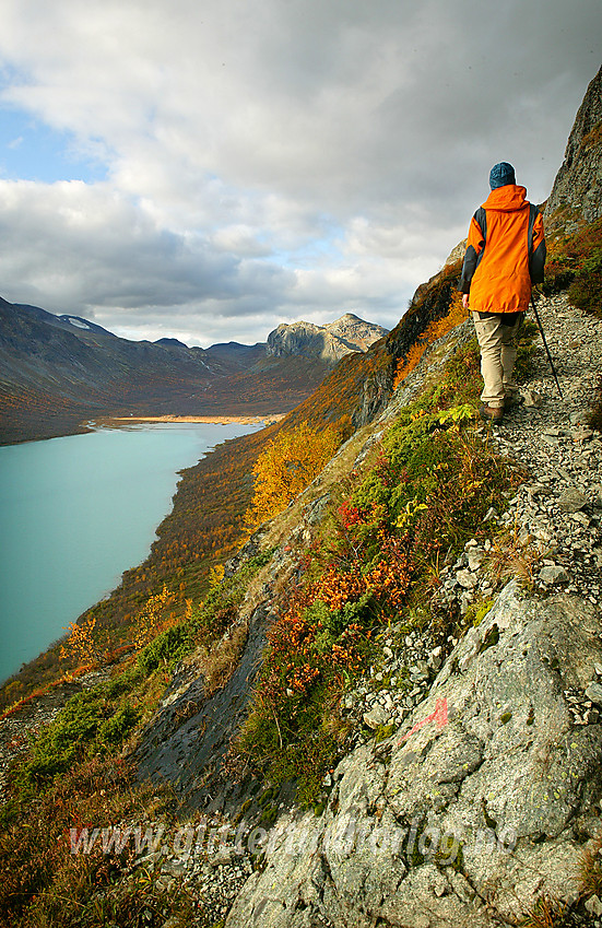 På vei opp Bukkelægret, den bratte stien fra Gjende til Memurutunga. I bakgrunnen Veslådalen og Gjendetunga (1516 moh).