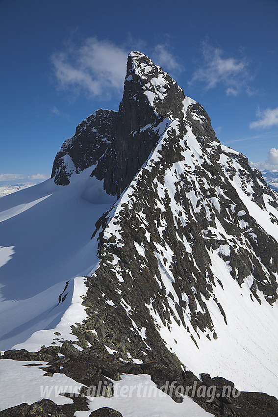 Stølsmaradalstinden (2026 moh) sett fra nordryggen, ikke så langt fra Vikingskar.