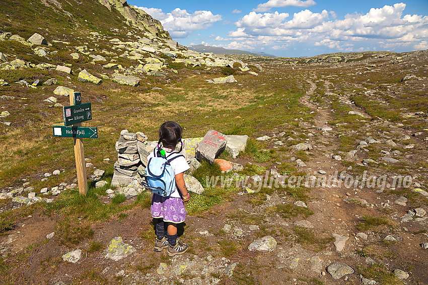 Hvor går ferden? I skaret mellom Båtskardberge og Heklefjellet på vei mot Gravolskampen. Her ved stidele der sti mot Heklefjellet tar av til høyre. Dette er en av mange merkede turstier i nærheten av Beitostølen.