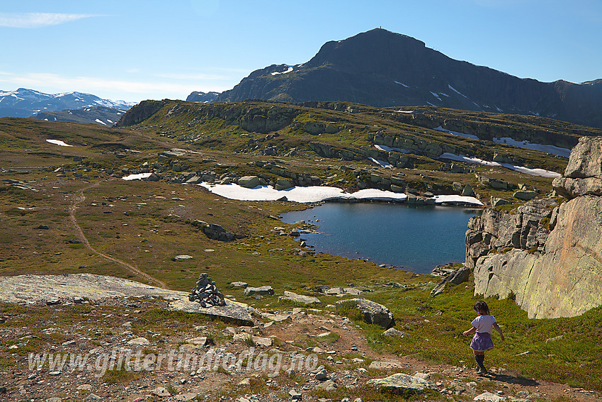 På tur langs merket sti mellom Gravolskampen og Båtskardstølane. Her på vei mot Søre Båtskardet. I bakgrunnen ses bl.a. Bitihorn (1607 moh).