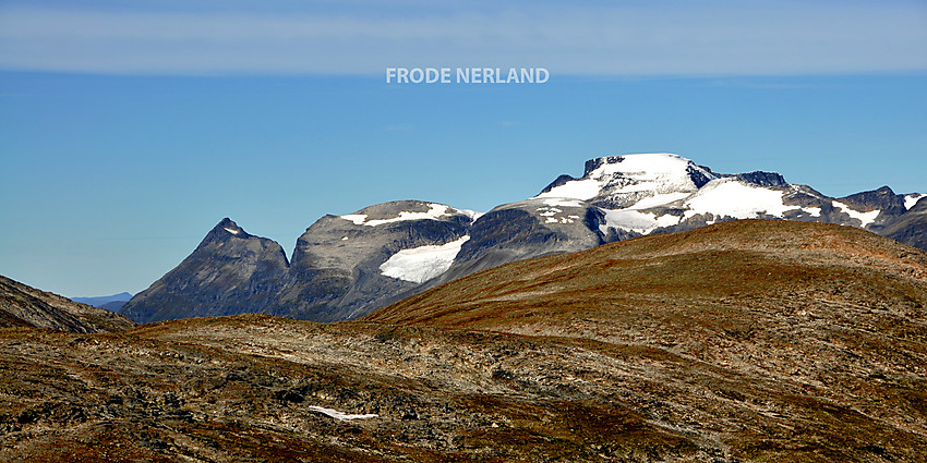 Fra venstre Hovsnebba,Furunebba og Kongen.