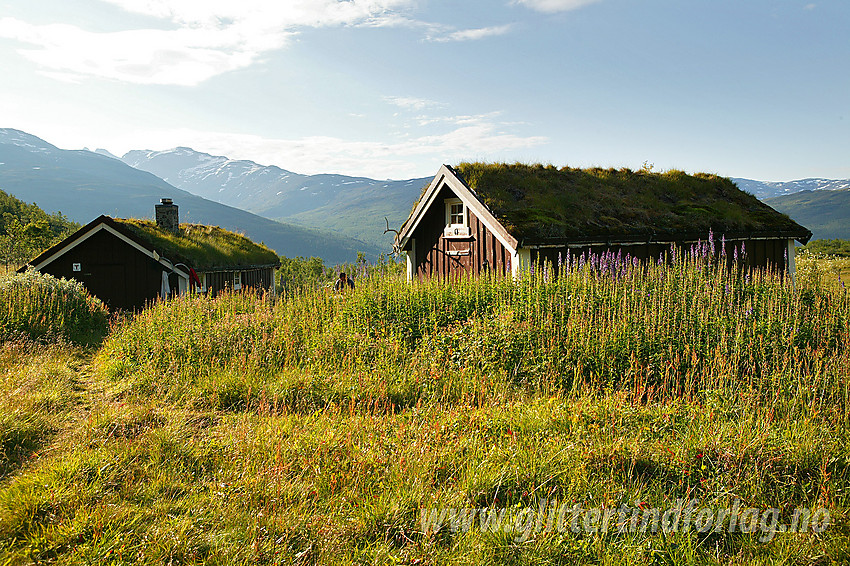 Idyll en sommerkveld ved Stølsmaradalsbu i Hurrungane.