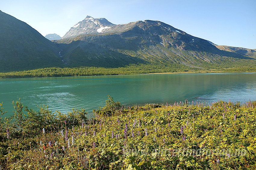 Morgenstemning ved Gjende like ved Gjendebu med Nørdre Svartdalspiggen (2137 moh) i bakgrunnen.