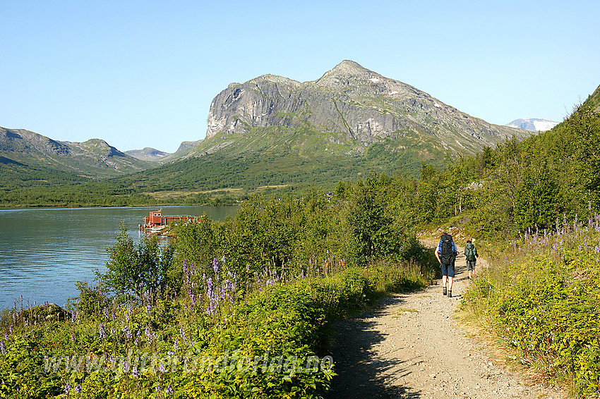 På veien fra brygga og inn til Gjendebu. I bakgrunnen Gjendetunga (1516 moh).