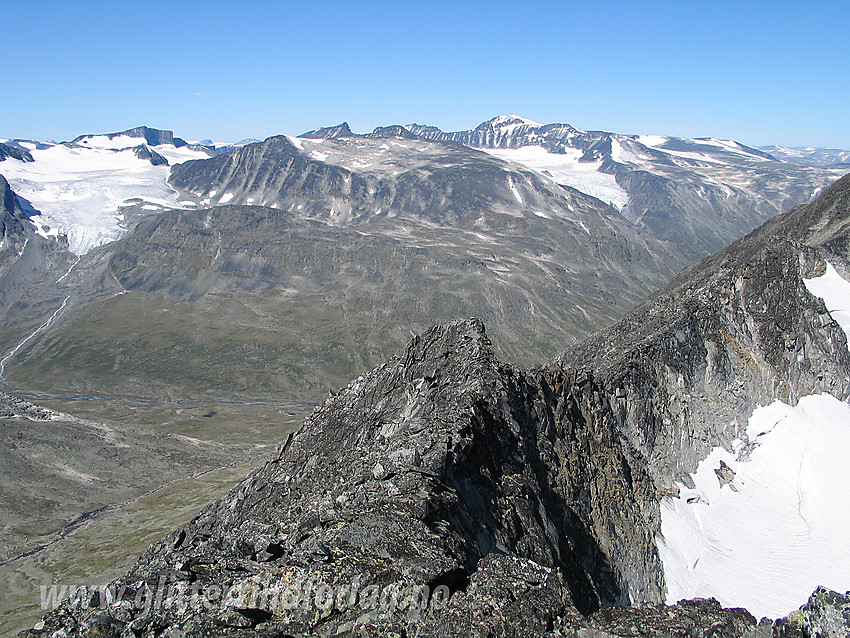 På Hellstuguryggen like nord for Midtre Hellstugutinden.