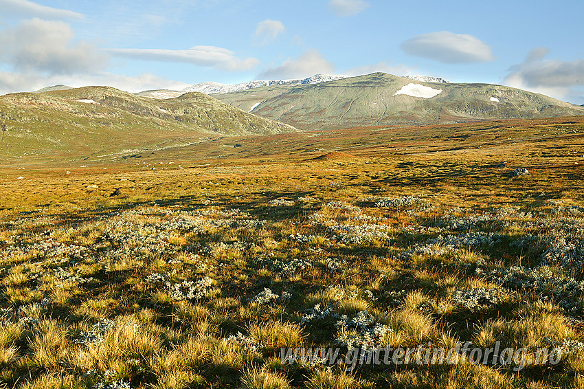 På vei opp mot Valdresflye fra sør med utsikt i vestlig retning mot Øystre Fagerdalshøe, Raslet og helt opp til Rasletinden som kvitner i bakgrunnen.