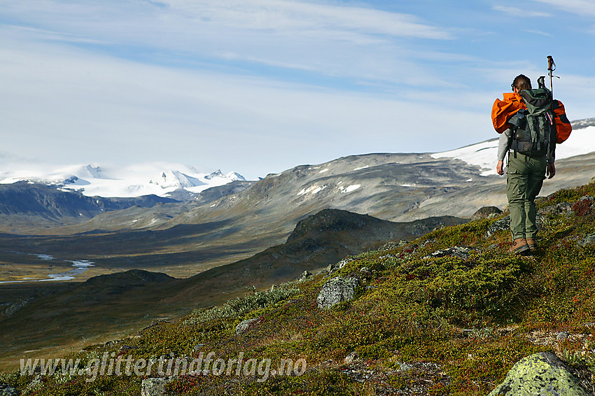 På vei opp fra Veodalen over mot Trollsteinkvelven. I bakgrunnen ses Veodalen med Veo.