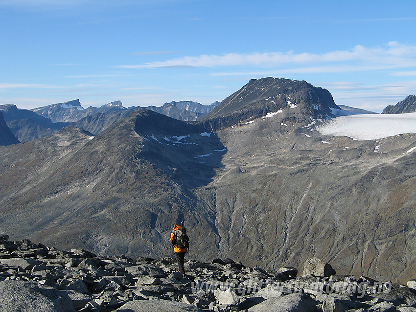 På vei ned fra Skarddalseggje med Langvasshøe (2030 moh) og Visbreatinden (2234 moh) midt i mot.