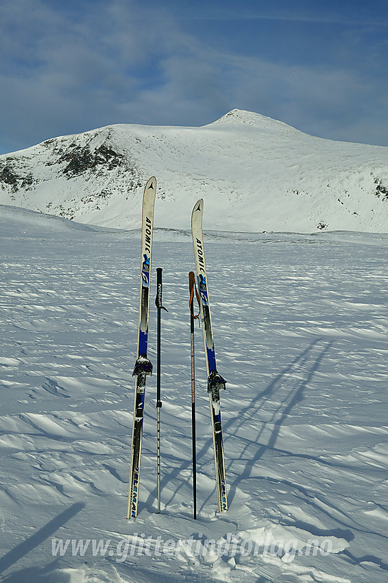 På Hindflye under Stornubben med toppen (2174 moh) i bakgrunnen.