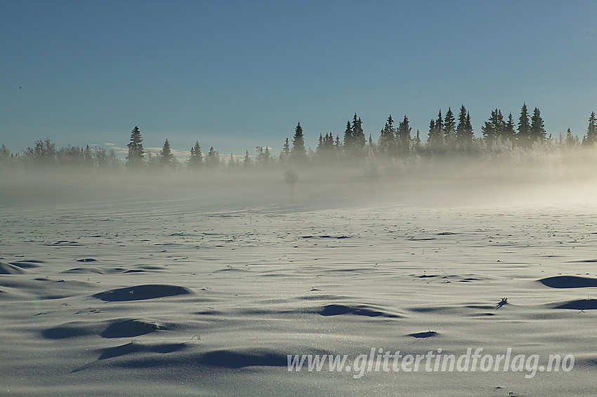 Utsikt fra skiløypa som går fra Skrautvål skisenter oppover mot Skardåsen.